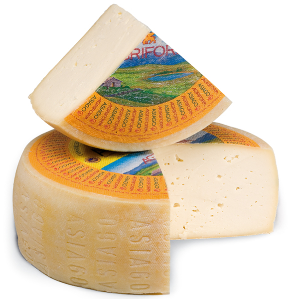 Fresh Asiago Pressato Cheese DOP